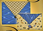 The E-Velope Reader Carrier Pattern The E-Velope Reader Carrier Pattern